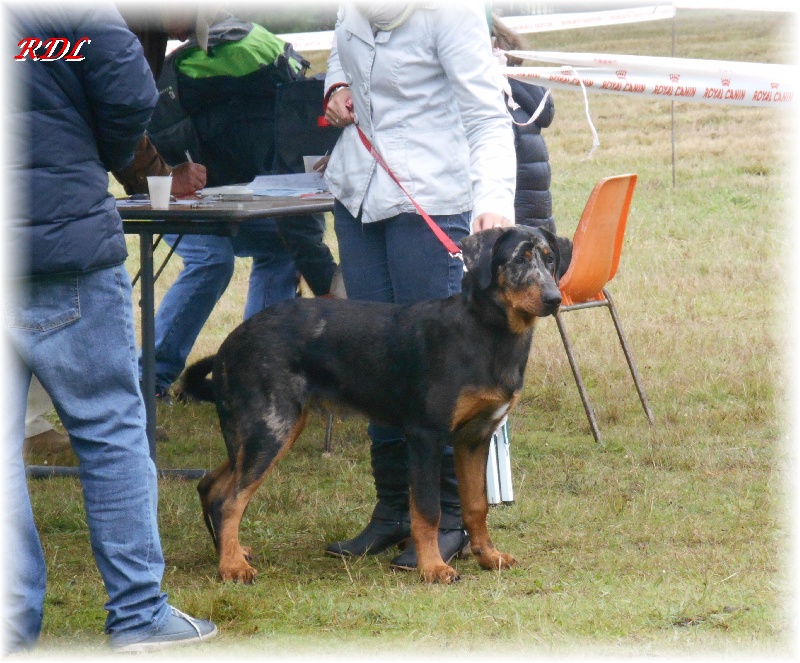 Ildaho du royaume de Locksley
