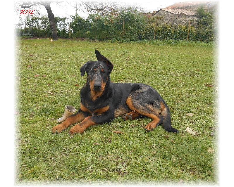 ILDAHO DU ROYAUME DE LOCKSLEY